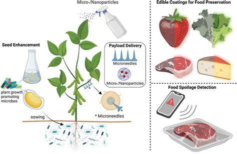 agriculture materials|Biomaterials Technology for AgroFood Resilience.